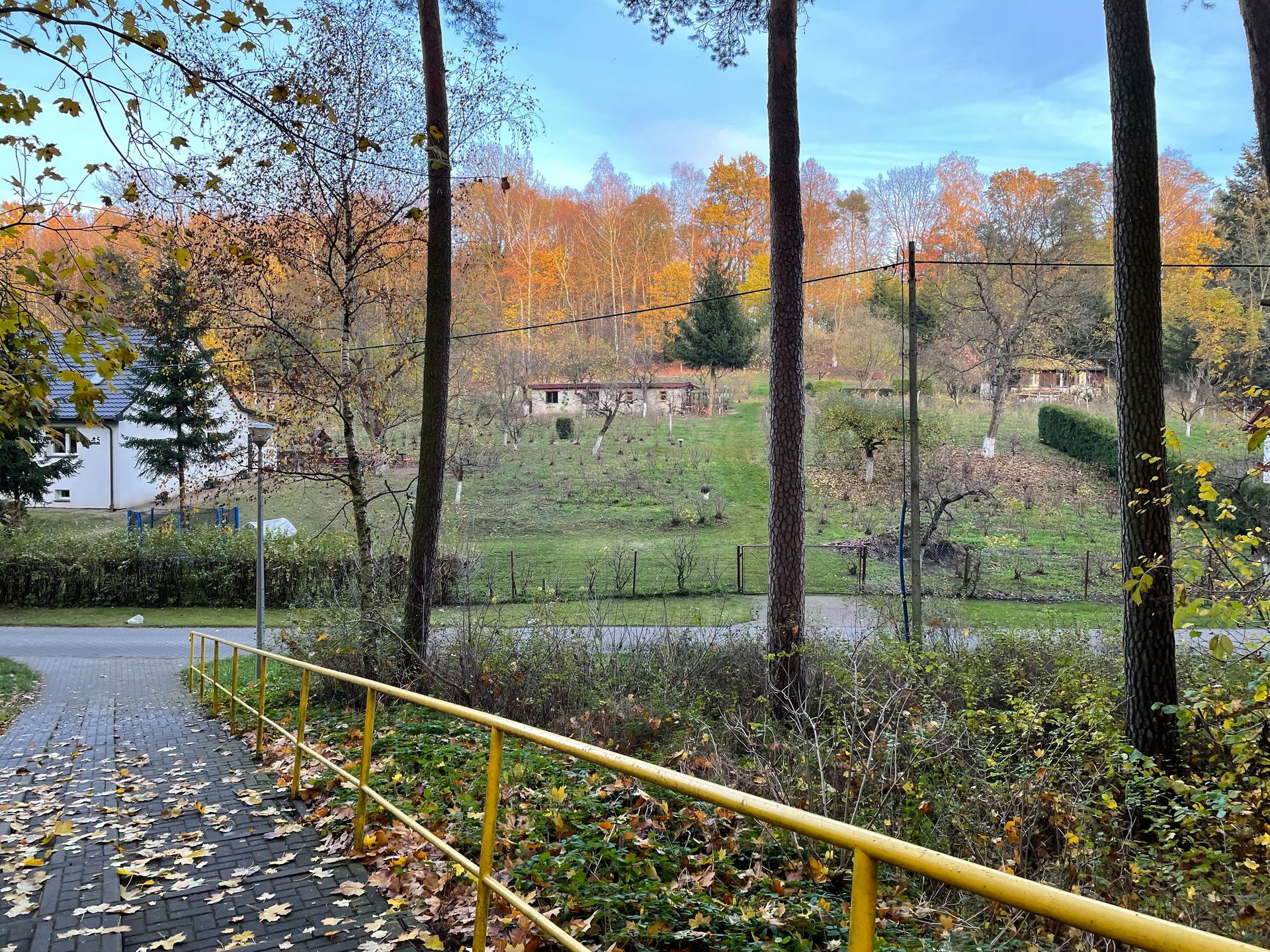 Dobry iPhone w "dobrej" cenie. iPhone 12: test 23