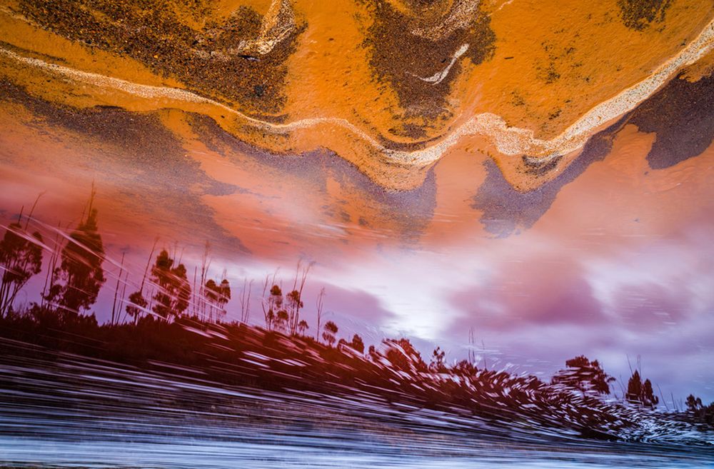 Zobaczcie najlepsze zdjęcia konkursu GDT European Wildlife Photographer of the Year 2016 19