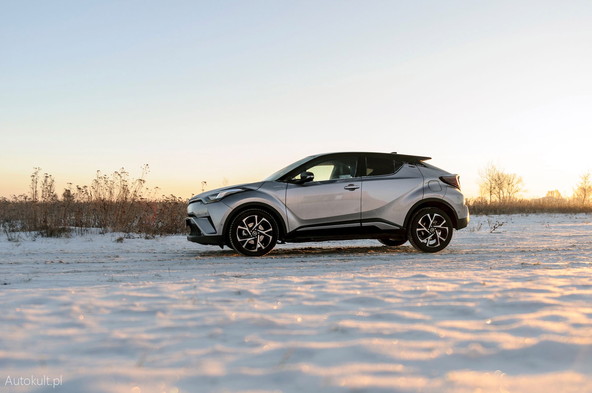 Toyota C-HR Hybrid (2017)