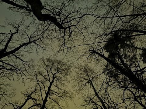 słabe oświetlenie Huawei P30 Pro