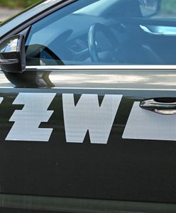 Dokumenty wojskowe na wysypisku śmieci. Dochodzenie żandarmerii