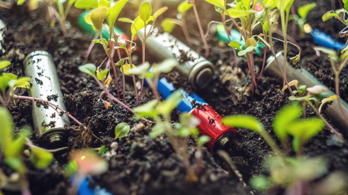 Baterie pomiędzy roślinami