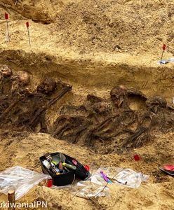 Warszawa. Szczątki ponad 20 osób w leśnym grobie. Odkrycie IPN