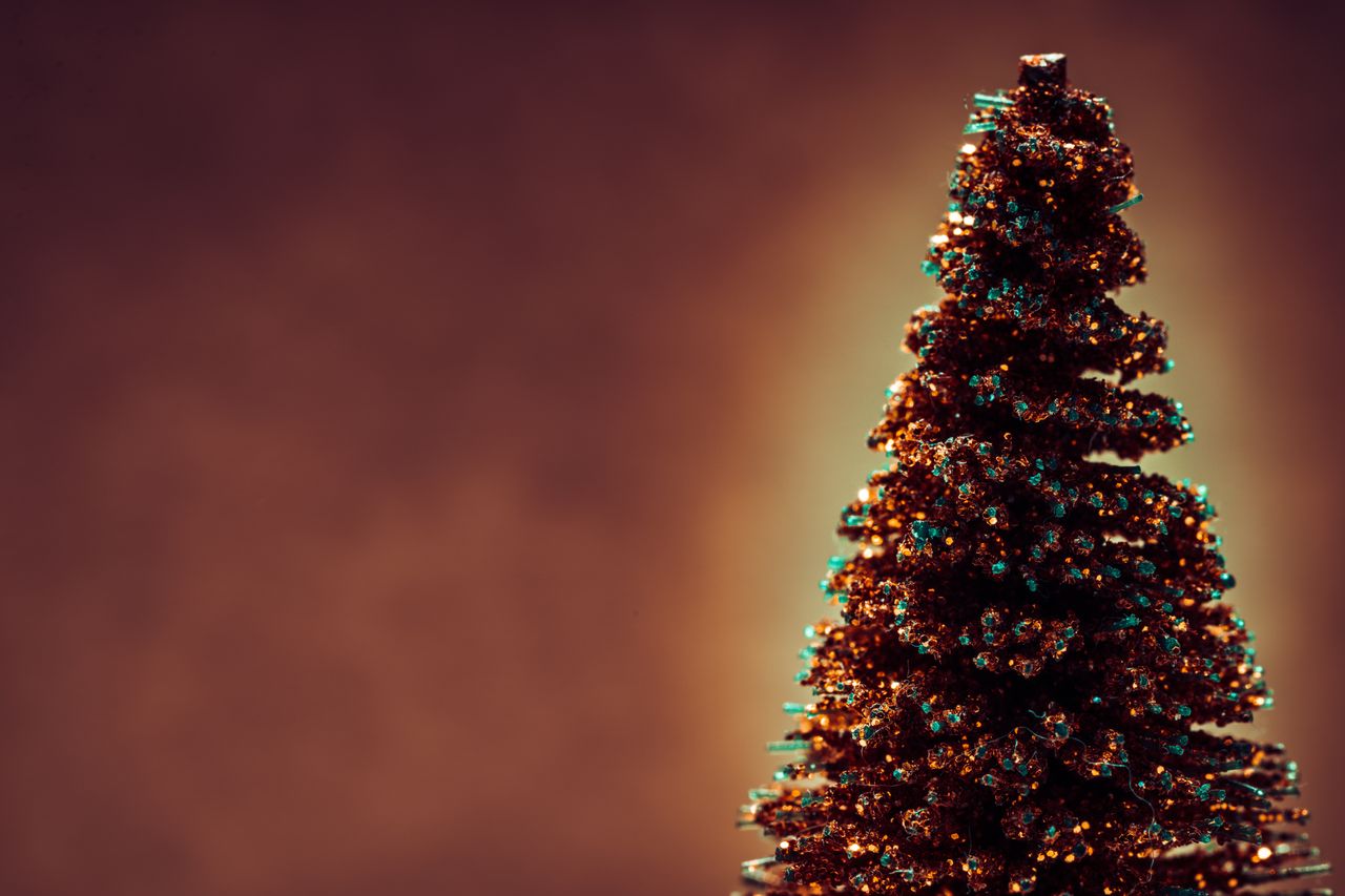 Ostrowiec szykuje się na święta - nowa choinka i zimowe iluminacje ozdobią miasto