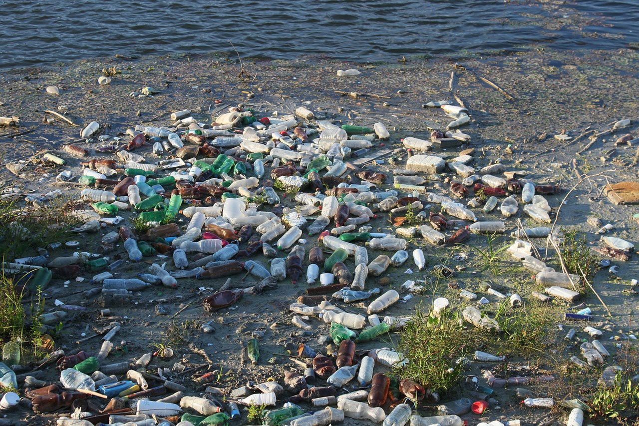 Śmieci nad rzeką (zdjęcie ilustracyjne)