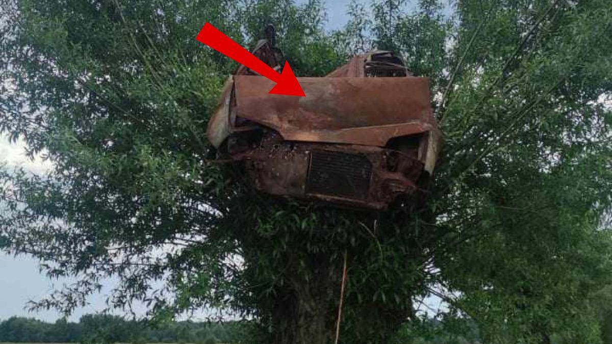 Służby wezwane do... wraku auta na wierzbie.