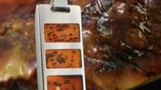 Bursztynowy pendrive dla czytelnika Gadżetomanii 1