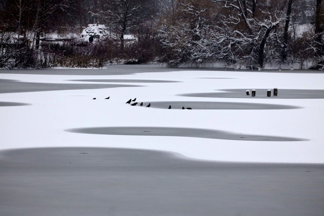 Alert IMGW dla województwa śląskiego. Były intensywne opady śniegu, będą roztopy i gołoledź