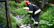 Sytuacja hydrologiczna w woj. lubelskim. Prognozy wskazują jednak na możliwe lokalne podtopienia
