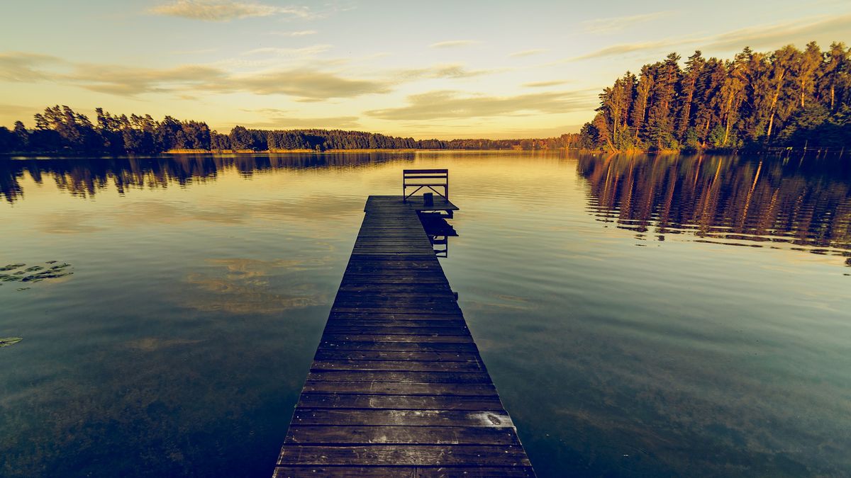 Działka z dostępem do linii brzegowej jeziora? Sprawdź, co trzeba wiedzieć