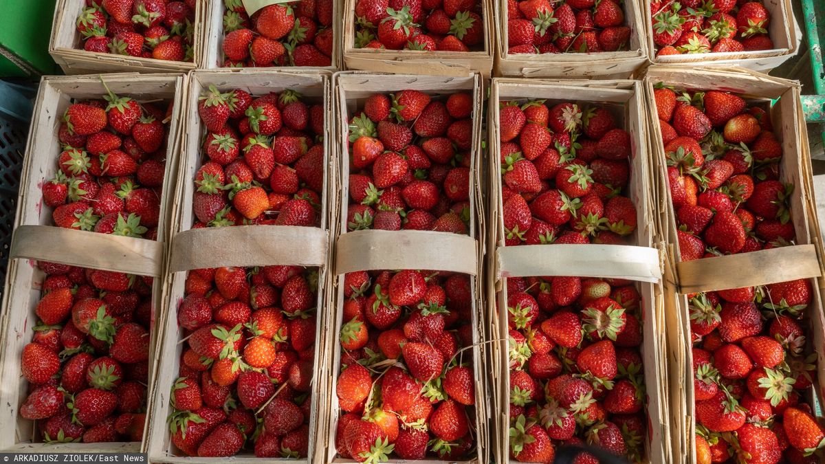 Biedronka apeluje, żeby nie przesypywać truskawek z koszyczków