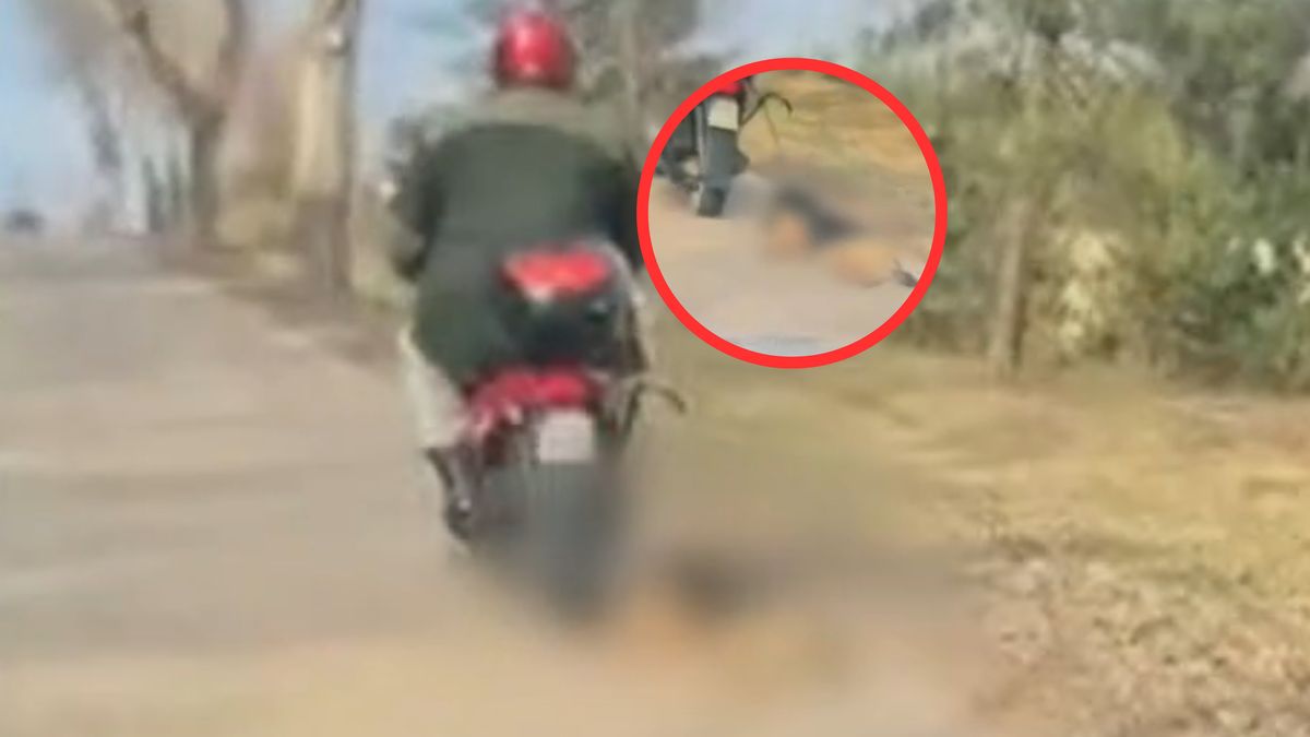 Pies ciągnięty za motorowerem.