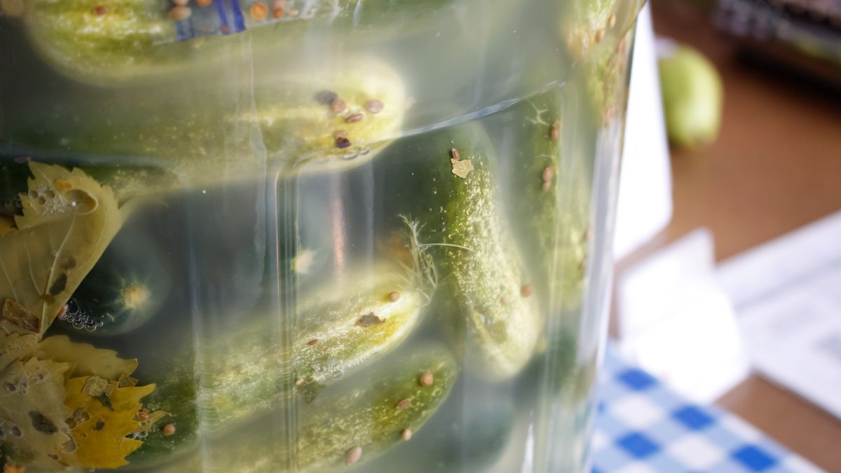 Kiszenie ogórków w plastikowych butelkach to najgorszy sposób