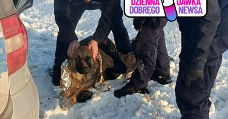 Przymarzł do pobocza drogi. Pomoc przyszła na czas