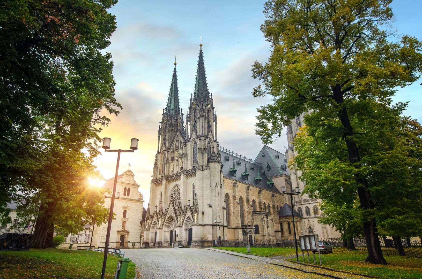 Katedra św. Wacława 