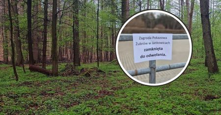Kartka w lesie. Turyści w popłochu. Leśnicy nie mieli wyjścia