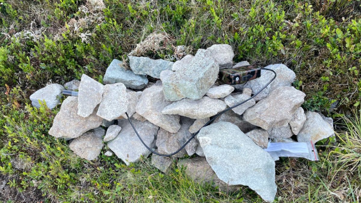 Zginęły czujniki AGH