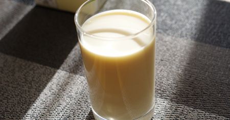 Podlaska buza wraca do łask. Naturalne wsparcie dla jelit i odporności