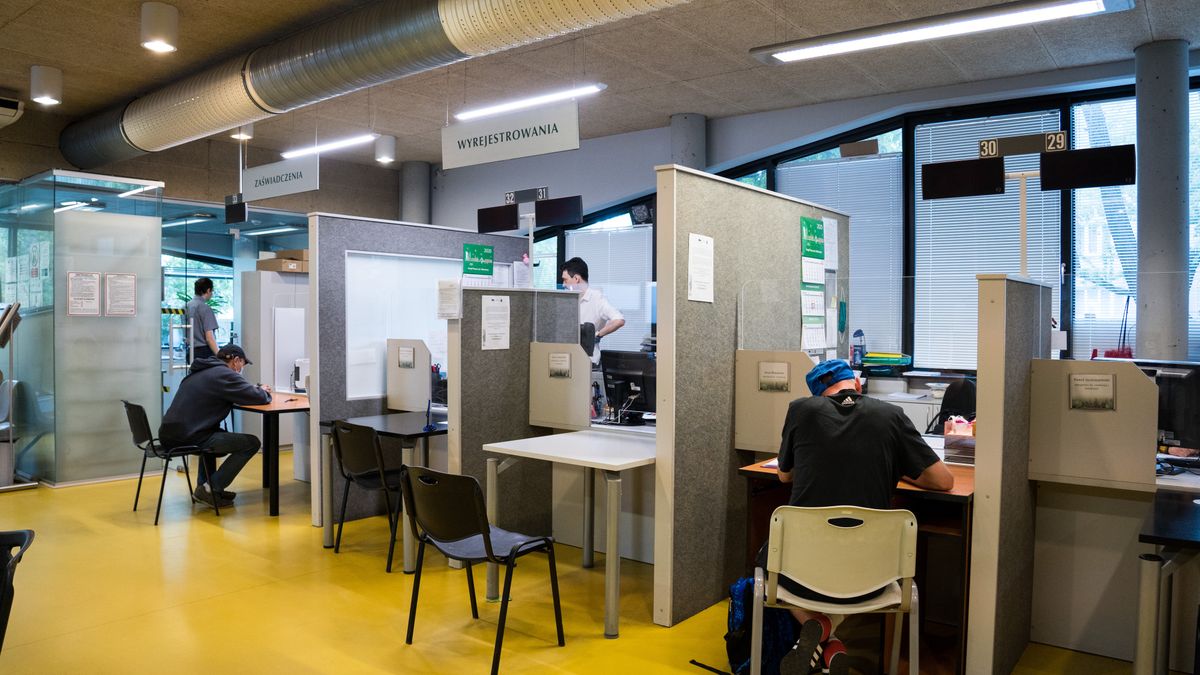 Szykuje się rewolucja z umowami o pracę i zlecenie?