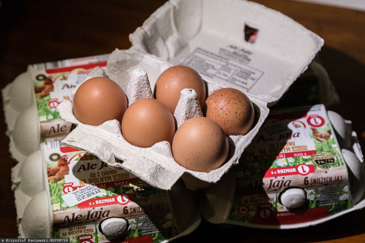 Niemcy przekonują, że niedługo na rynku nie będzie brązowych jaj