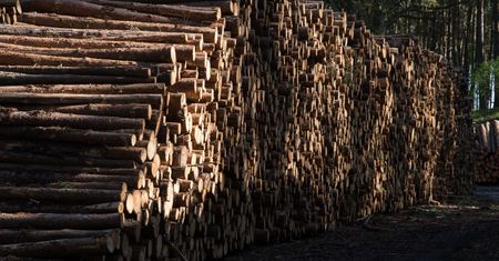 Obchodzili unijne sankcje. W tle produkty z Rosji i Białorusi