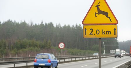 Znaki drogowe, które są ważniejsze niż wam się wydaje. Przekazują ważne informacje