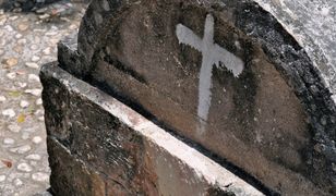 Wrocław. Jak dojechać na cmentarze we Wszystkich Świętych? Rozkład jazdy