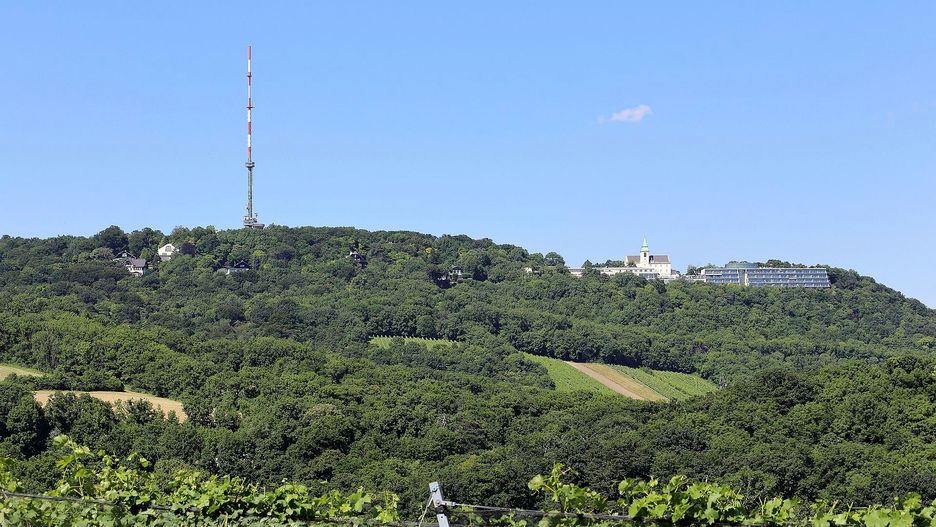 W weekend zniszczono polski i ukraiński pomnik na wzgórzu Kahlenberg w Wiedniu