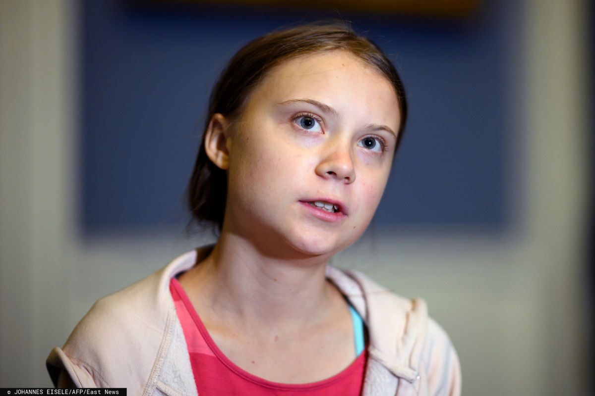 Greta Thunberg przerwała milczenie. Siemens naciskany przez Szwedkę