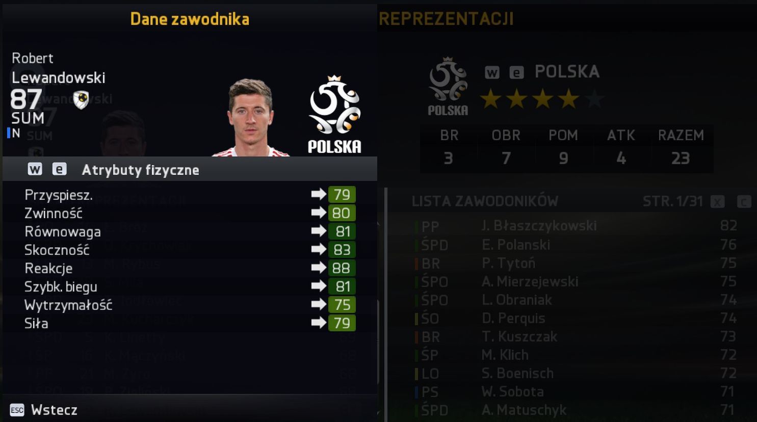 Obraz