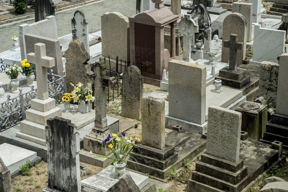 Urban Death Project. Marchewka z babci? Będą używać zmarłych jako nawozu 4