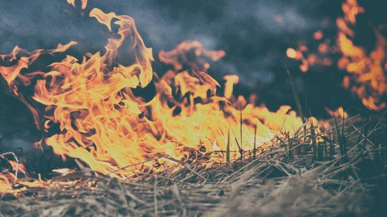 Mazowsze. W weekend strażacy musieli wyjeżdżać do pożaru wiele razy