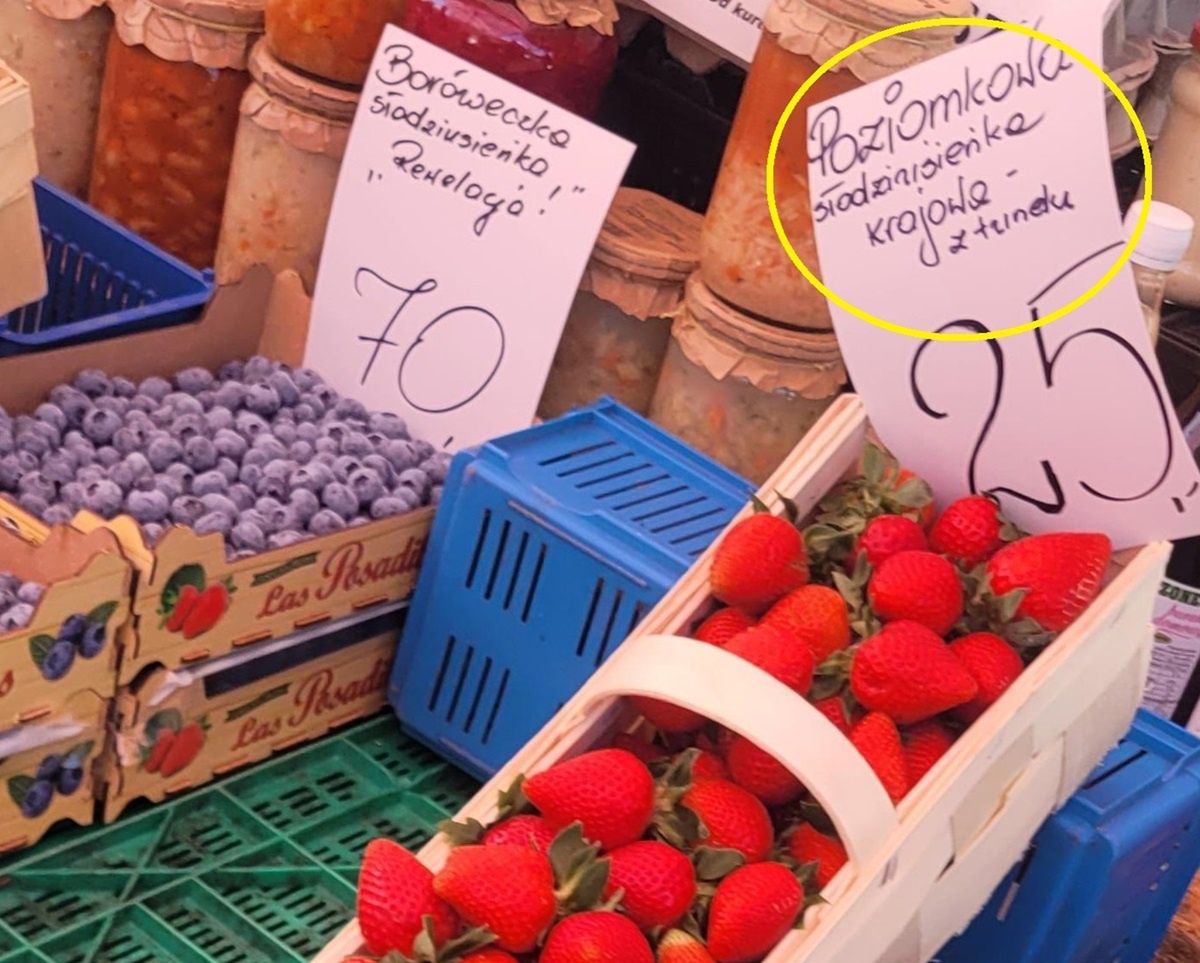 Pokazaliśmy sadowniczce zdjęcie polskich truskawek. "To jest oszustwo"