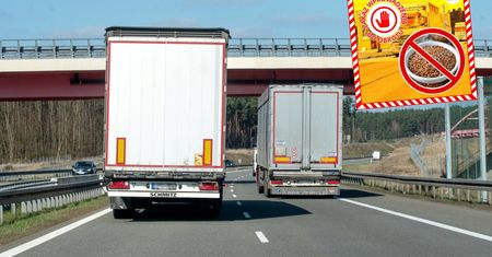 Żywe szkodniki w produktach z Ukrainy. Służby zatrzymały kilkadziesiąt ton