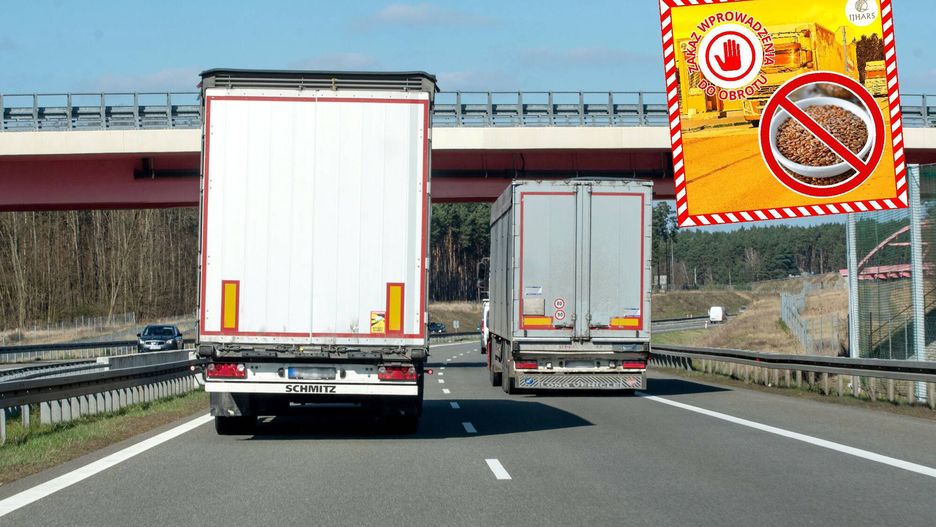 Służby znów wykryły szkodniki w produktach z Ukrainy