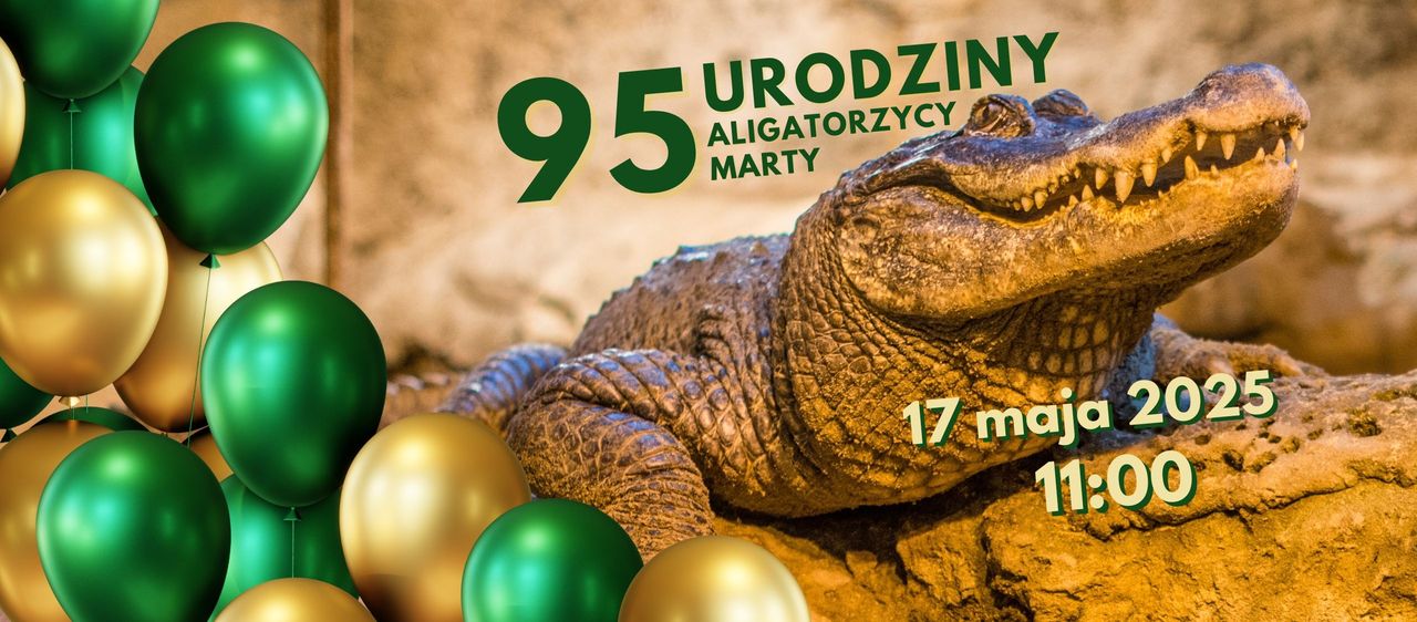 Aligatorzyca Marta zaprasza na urodziny!