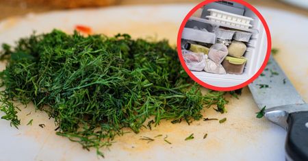 Pudełko po lodach czy coś innego? Jak przechowywać koperek, żeby nie zmarniał