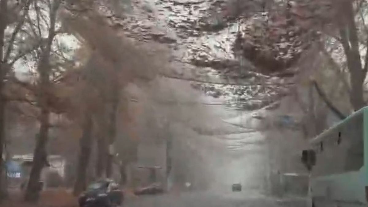 Siatka antydronowa w Chersoniu