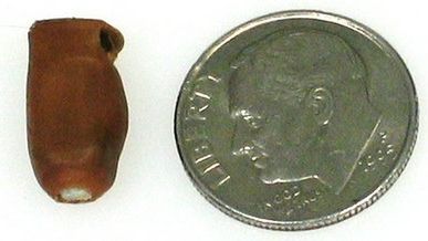 Mini podsłuch na maksi sesję 1