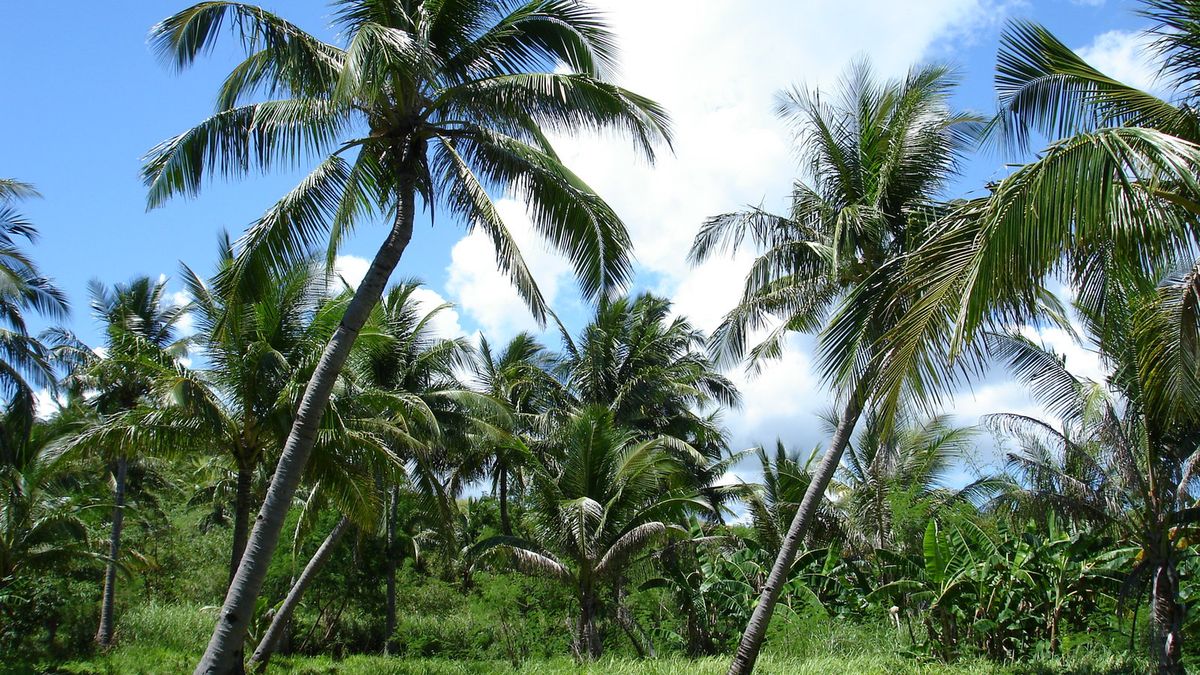 CryEngine za darmo 1