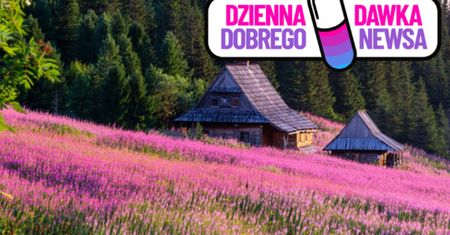 Pod Tatrami zrobiło się fioletowo. Tym razem to nie krokusy