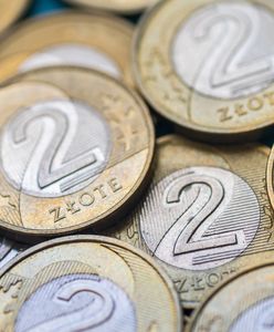 Ta moneta 2 zł jest warta krocie. Sprawdź, czy masz ją w portfelu