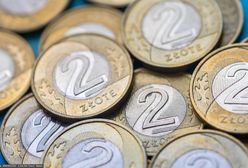 Ta moneta 2 zł jest warta krocie. Sprawdź, czy masz ją w portfelu
