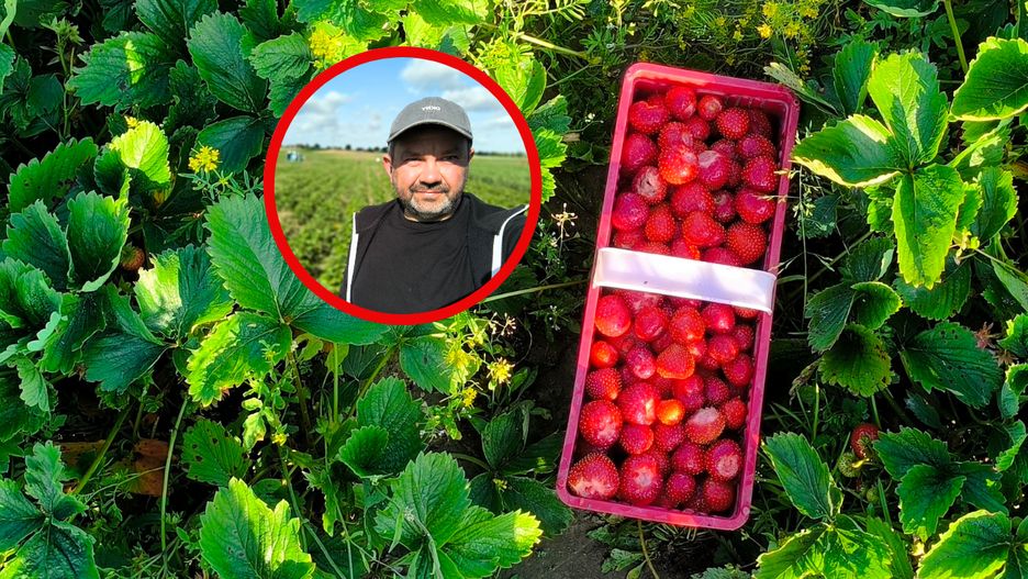 Sprawdziłem dlaczego brakuje pracowników