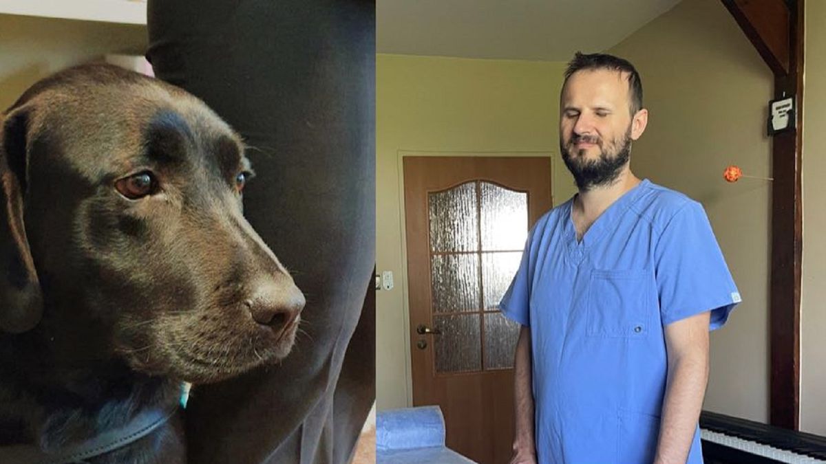 Nugat na co dzień towarzyszy masażyście