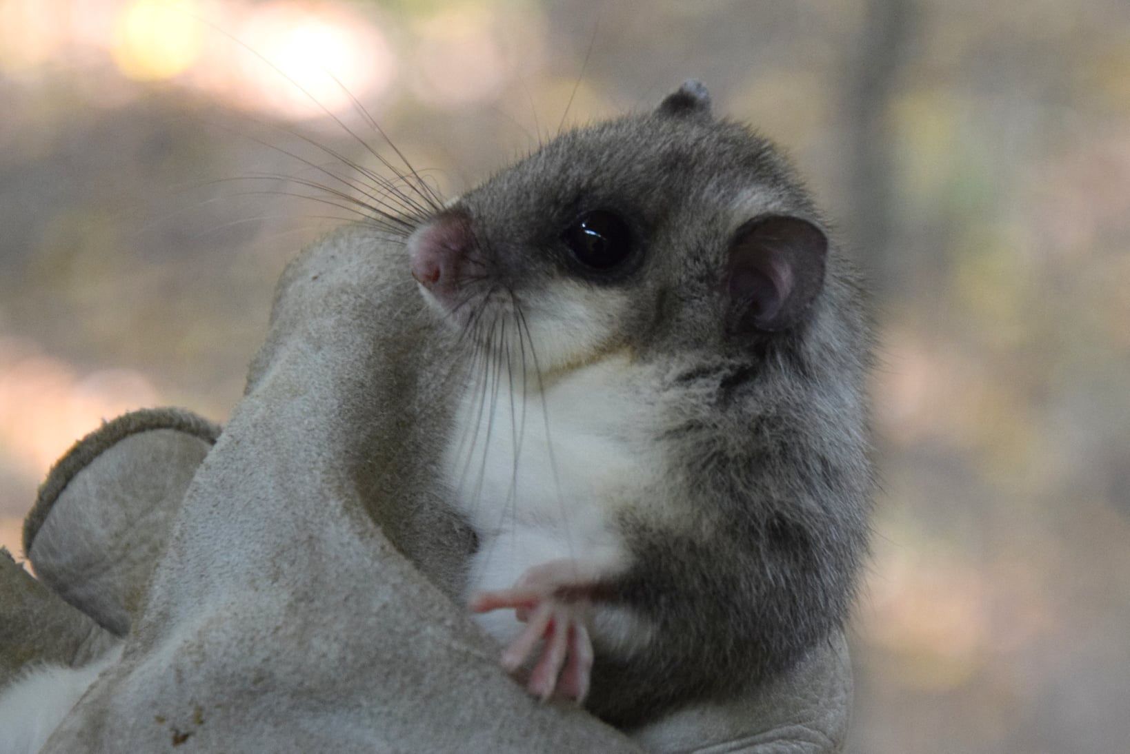 fot. Zoo Poznań