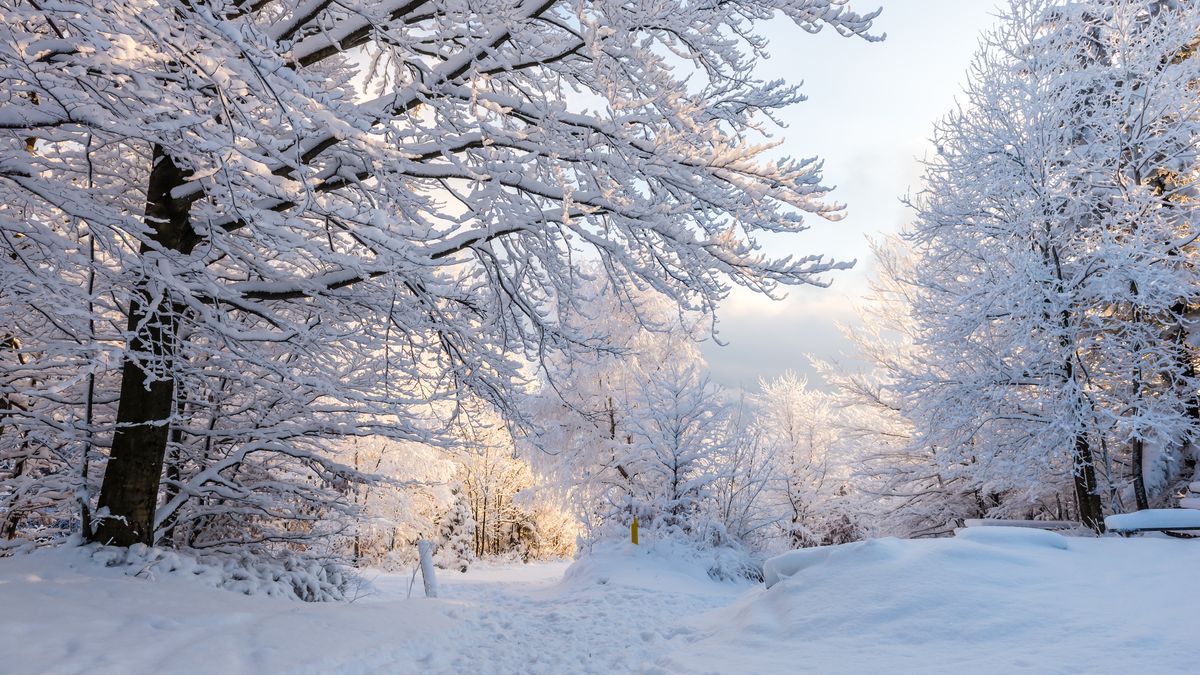 Kiedy spadnie śnieg?
