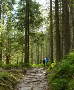 Tatrzański Park Narodowy otwarty. Na niektórych szlakach limity wejść