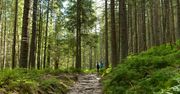 Tatrzański Park Narodowy otwarty. Na niektórych szlakach limity wejść