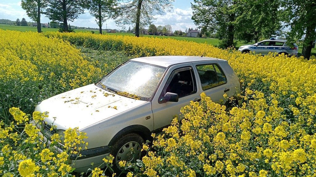 Ukradł auto, wylądował w rzepaku. Brawurowa ucieczka